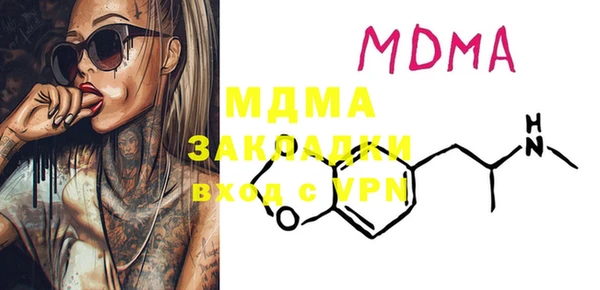 PSILOCYBIN Алзамай