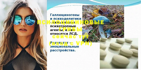 шишки Майский