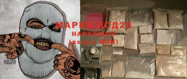 PSILOCYBIN Алзамай